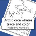 Orca whales trace and color