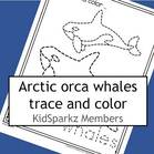 Orca whales trace and color