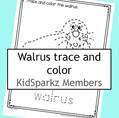Walrus trace and color printable. 