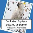 Australian cockatoo puzzle