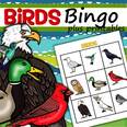 Birds bingo game for preschool