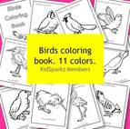 A free bird printable for each of 10 colors. Horse, koala, snake, polar bear, kangaroo, panther, kitten, butterfly, pig and whale