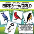 28 large bird flashcards for vocabulary, recognition, make matching and memory games. 