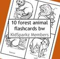 Forest animals flashcards - 10 animals