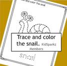 Trace and color the snail.
