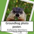 Groundhogs photo theme poster