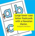 Large Hawaiian theme lower case letter flashcards. 
