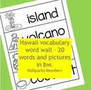 Hawaii vocabulary word wall - 20 words and pictures in b-w. 