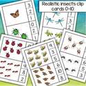 Realistic insects clip cards 0-10 