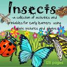 Insects theme collection of activities and printables, using realistic graphics and photos. 128 pages