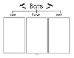 Bats can-have-eat discussion graphic organizer.