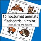 Set of 16 nocturnal animals flashcards