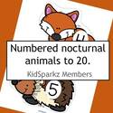 Nocturnal animals large manipulatives for counting 0-20, number recognition, arranging in sequence etc. 