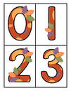 Large number cards  0-20 Fall theme