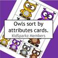 Owls attributes sorting cards - by size and color.