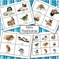 Set of pets flashcards.