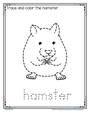 Hamster trace and color printable