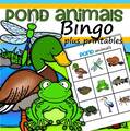 Desert animals bingo game plus supporting printables. 