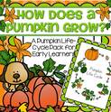 Pumpkin life cycle activity pack - free for members