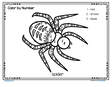 Spider color by number printable