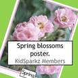 Spring blossoms poster