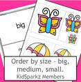 Spring theme order by size pictures, plus graphic organizer mat