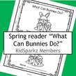 Preschool Spring Easter Bunnies emergent reader.