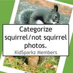 Categorizing squirrel/not squirrel.