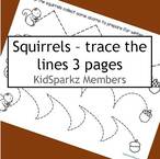 Trace the lines to help the squirrels prepare for winter.