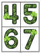 St. Patrick's Day large number flashcards 0-20. Make centers and games, room decor.