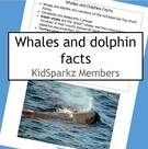 Whales and dolphins facts