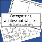Whales or not whales categorizing center