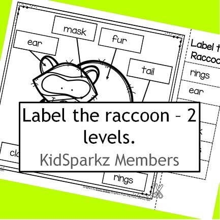 Label the raccoon cut and paste, 2 levels