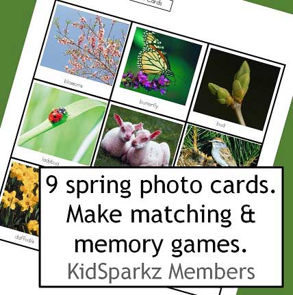 Labeled photo cards with a spring theme for matching and discussion 
