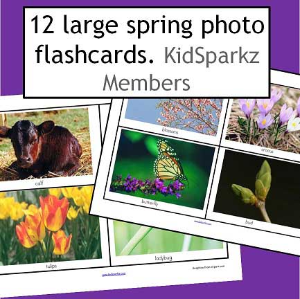 Labeled flashcards (12) with a spring theme for matching and discussion - print 2 copies for games.
