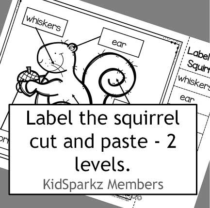 Label the squirrel cut and paste, 2 levels: match word to word, and word to empty label.