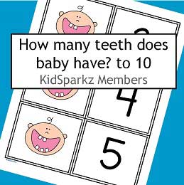 Counting baby teeth 0-10 flashcards. Match with numbers, arrange in order.