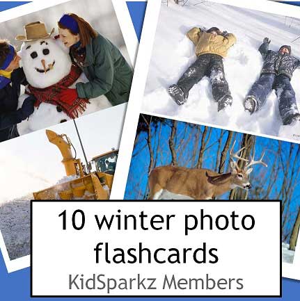 Winter discussion photo flashcards Use for discussion, vocab extension, matching (2 copies) - 10 photos. 
